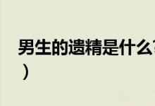 男生的遺精是什么?（男生遺精是什么樣子的）