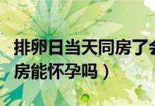 排卵日當天同房了會不會懷孕（排卵日當天同房能懷孕嗎）