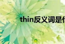 thin反義詞是什么（thin反義詞）