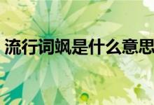 流行詞颯是什么意思（流行語颯是什么意思）