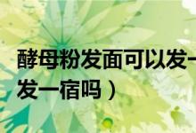 酵母粉發(fā)面可以發(fā)一晚上嗎（酵母粉發(fā)面可以發(fā)一宿嗎）