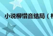 小說(shuō)柳惜音結(jié)局（柳惜音最后和誰(shuí)在一起）