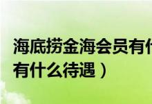 海底撈金海會員有什么權(quán)益（海底撈金海會員有什么待遇）