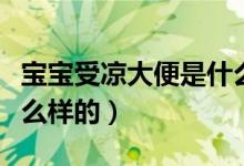 寶寶受涼大便是什么顏色（寶寶受涼大便是什么樣的）