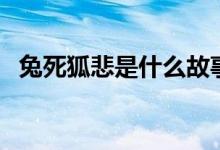 兔死狐悲是什么故事（兔死狐悲故事介紹）