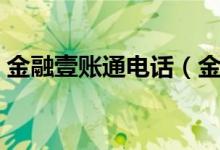 金融壹賬通電話（金融壹賬通是個什么機(jī)構(gòu)）