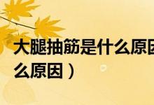 大腿抽筋是什么原因怎么治療（大腿抽筋是什么原因）