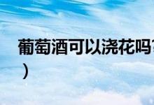 葡萄酒可以澆花嗎?（葡萄酒稀釋可以澆花嗎）