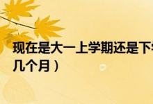 現(xiàn)在是大一上學(xué)期還是下學(xué)期（大一上學(xué)期和下學(xué)期分別是幾個月）