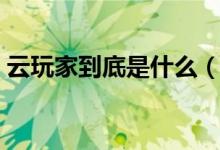 云玩家到底是什么（云玩家到底是什么意思）