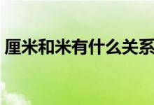 厘米和米有什么關(guān)系（厘米和米有什么差別）