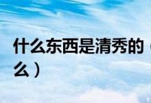 什么東西是清秀的（什么清什么秀有什么無(wú)什么）