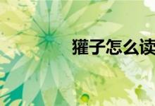 獾子怎么讀（如何讀獾子）