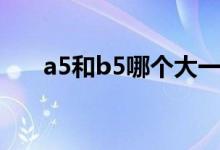 a5和b5哪個(gè)大一點(diǎn)（a5和b5哪個(gè)大）
