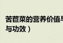 苦苣菜的營養(yǎng)價值與功效（苦苣菜的營養(yǎng)價值與功效）