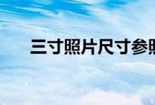 三寸照片尺寸參照?qǐng)D（三寸照片尺寸）