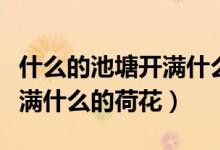什么的池塘開(kāi)滿什么的荷花呢（什么的池塘開(kāi)滿什么的荷花）