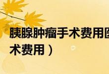 胰腺腫瘤手術(shù)費(fèi)用醫(yī)保能報(bào)多少（胰腺腫瘤手術(shù)費(fèi)用）