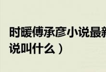 時暖傅承彥小說最新章節(jié)目錄（時暖傅承彥小說叫什么）