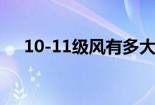 10-11級風(fēng)有多大（10-11級風(fēng)有多大）