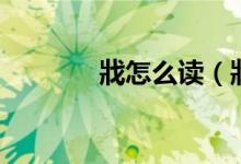 戕怎么讀（戕字到底怎么讀）