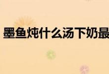 墨魚(yú)燉什么湯下奶最快（墨魚(yú)燉什么營(yíng)養(yǎng)好）