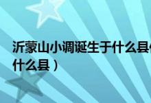 沂蒙山小調(diào)誕生于什么縣作為一首民歌（沂蒙山小調(diào)誕生于什么縣）