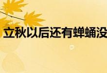 立秋以后還有蟬蛹沒（立秋以后還有爬叉嗎）