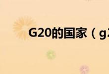 G20的國家（g20國家有哪些國家）