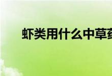 蝦類用什么中草藥（蝦類用什么呼吸）