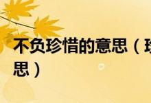 不負珍惜的意思（珍惜所有不負遇見是什么意思）