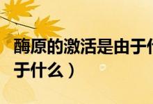 酶原的激活是由于什么原因（酶原的激活是由于什么）