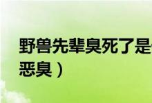 野獸先輩臭死了是什么梗（野獸先輩什么梗 惡臭）