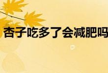 杏子吃多了會減肥嗎（杏子吃多了會怎么樣）