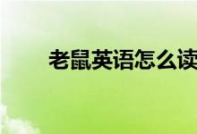 老鼠英語怎么讀（老鼠英語是什么）