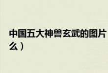 中國(guó)五大神獸玄武的圖片（中國(guó)古代四大神獸玄武背上是什么）