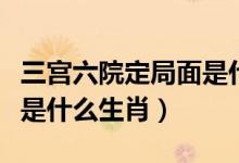 三宮六院定局面是什么生肖（九宮六院定局面是什么生肖）
