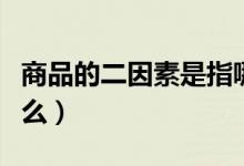 商品的二因素是指哪些（商品的二因素是指什么）