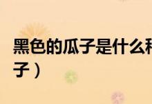 黑色的瓜子是什么種子（黑色的瓜子是什么瓜子）