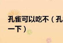 孔雀可以吃不（孔雀可以吃嗎 大家可以認(rèn)識(shí)一下）