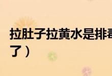 拉肚子拉黃水是排毒嗎（拉肚子拉黃水是怎么了）