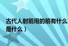 古代人射箭用的箭有什么不同（古代弓箭和現(xiàn)代弓箭的差別是什么）