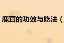 鹿茸的功效與吃法（關(guān)于鹿茸的功效與吃法）