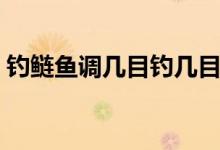 釣鰱魚調(diào)幾目釣幾目最好（釣鰱魚調(diào)漂方法）
