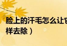 臉上的汗毛怎么讓它變細(xì)變淡（臉上的汗毛怎樣去除）