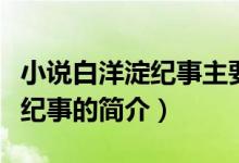 小說白洋淀紀事主要內(nèi)容是什么（小說白洋淀紀事的簡介）
