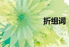 折組詞（折的拼音）