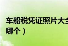 車船稅憑證照片大全圖片（車船稅憑證照片是哪個(gè)）