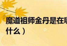 魔道祖師金丹是在哪個部位（魔道祖師金丹是什么）