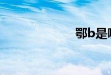 鄂b是哪里的車牌